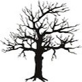 Arvore