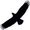 Condor