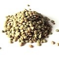 Lentilha