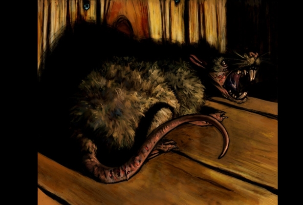 Rato