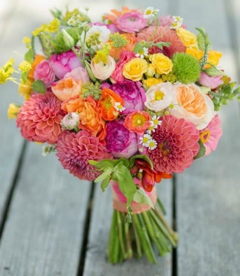 Significado Das Cores Das Flores