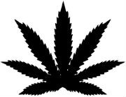 Simbolos Do Reggae